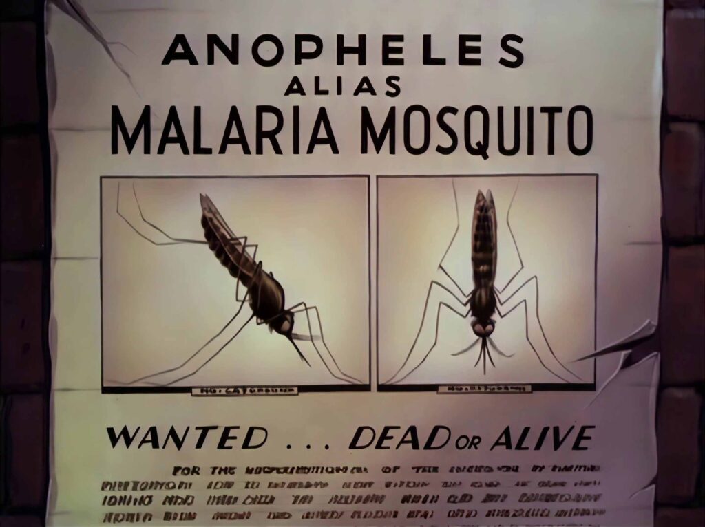 Anopheles alias Malaria mosquito